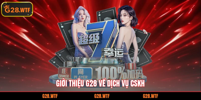 Giới thiệu G28 về dịch vụ CSKH