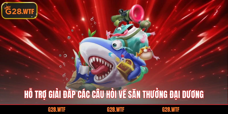 Hỗ trợ giải đáp các câu hỏi về săn thưởng đại dương