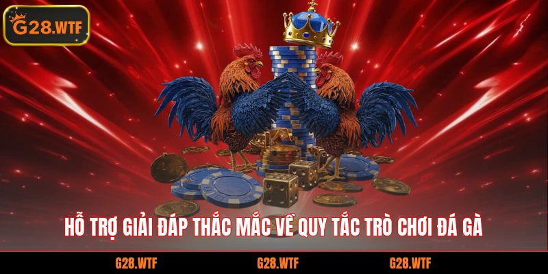 Hỗ trợ giải đáp thắc mắc về quy tắc trò chơi đá gà