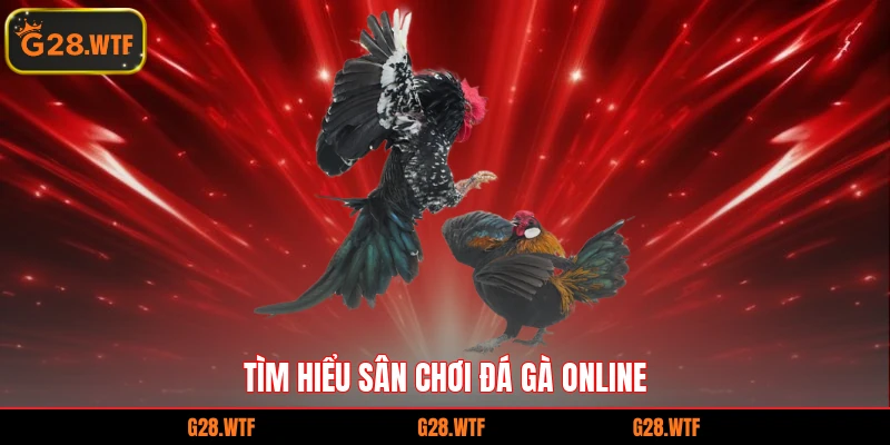 Tìm hiểu sân chơi đá gà online